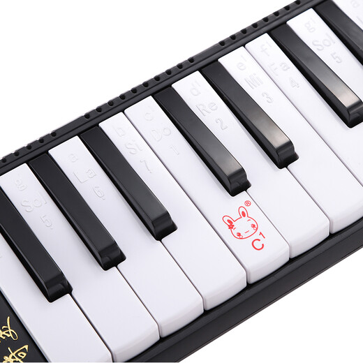 奇美 QM32A-14 32键小灵通教学推荐口风琴（黑色、EVA轻便硬包）