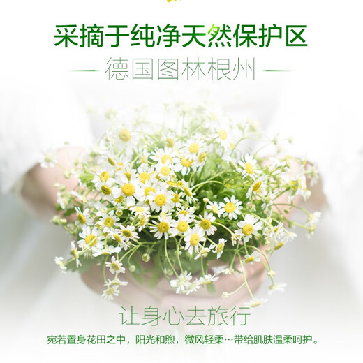 HERBACIN German chamomile classic lip balm 4.8g (hydrating and moisturizing to prevent dryness) moisturizing lip balm