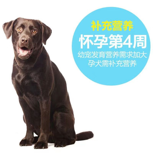 Postpartum nutritional supplements for female dogs, pregnant dogs, dog mothers, pregnant Teddy confinement, lactation, calcium supplement goat milk powder during pregnancy and lactation, goat milk powder for dog postpartum recovery, two cans