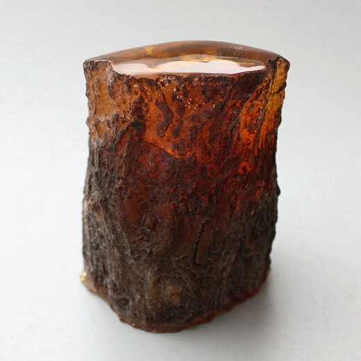 Swiss artificial amber crab specimen resin crafts real insect animal raw stone fossil insect amber ornaments picture color