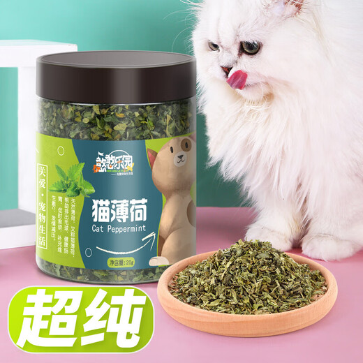 TAILDIARY TAILDIARY Hanhan Paradise Small Dried Fish Cat Snacks Natural Healthy Dried Fish Calcium Supplement for Kittens 1 Bottle of Catnip