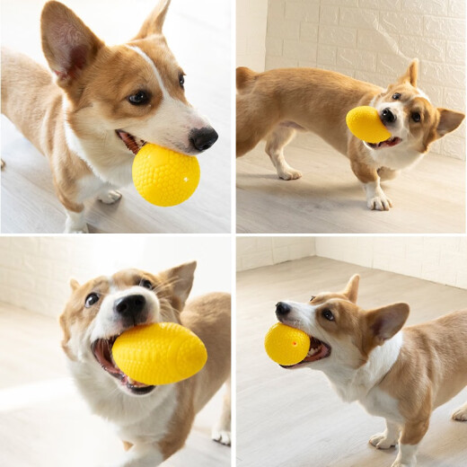 EETOYS Dog Toys Bite-Resistant Rubber Ball Small and Medium-sized Dog Training Fun Training Ball Teething Toy Washable [Airflow Noise Does Not Disturb People] Blow-Molded Trumpet Rugby Ball