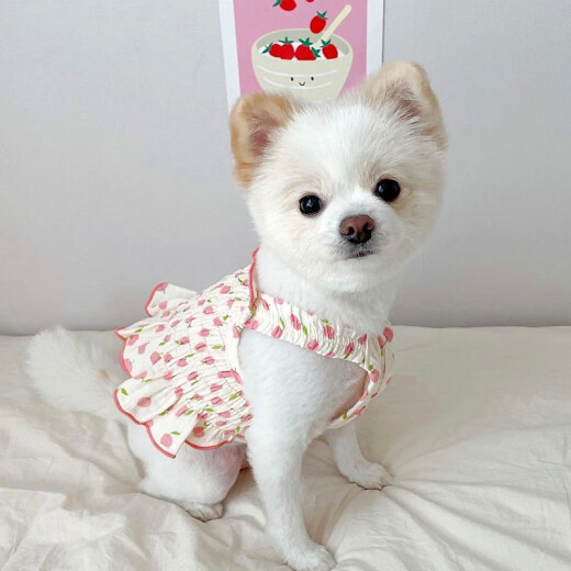 Hongxianmi Teddy Skirt Puppy Summer Clothes Pet Small Puppy Bichon Frize Pomeranian Yorkshire Cat Spring and Summer Thin Style Red M Back Length 30cm (recommended 5-7Jin [Jin equals 0.5kg])