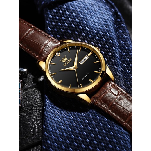 Top 10 schweizerische mechanische Uhren für wasserdichte Herrenuhren für High-End 2025 Neue Top-Ten-Marken von Herrenuhren für transparente Bodengürtel 6629 braune Lederblaue Männer Uhr
