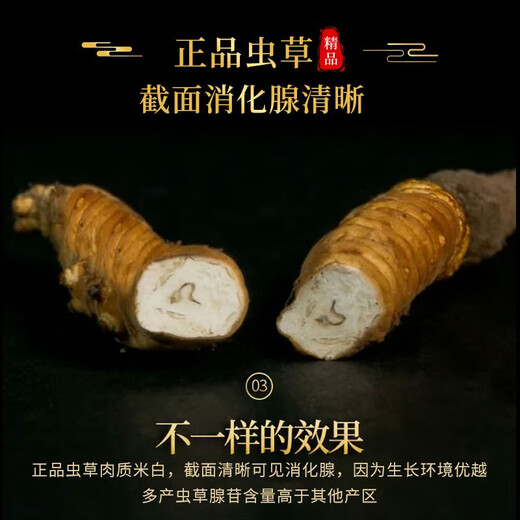 雄风道冬虫夏草 藏区雪域3根一克 50根礼盒装 高海拔头期冬虫草滋补干货 50根礼盒装