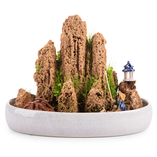 Landscape green sculpture natural water-absorbent stone bonsai custom-made water stone rockery stone micro-landscape decoration stone ornamental 20-24cm water-absorbent stone does not include pots and comes with grass seeds and stones