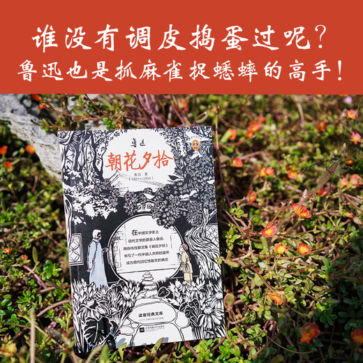 Recogiendo flores por la mañana y por la noche (¿quién nunca ha sido travieso y problemático? ¡Lu Xun también era un maestro en atrapar gorriones y grillos! ¡Imprima la edición de colección de portada!) (Reader Classic Library)