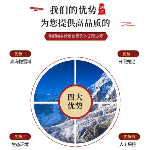 雄风道冬虫夏草 藏区雪域3根一克 50根礼盒装 高海拔头期冬虫草滋补干货 50根礼盒装