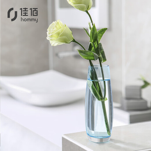 Jiabai modern simple small fresh colorful hydroponic glass vase creative table decorations a flower home decoration sky blue