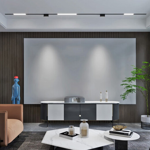 NGIA 导轨灯酒店客厅家用无主灯照明磁吸灯20宽轨道48v磁吸轨道灯暗装LED线条 白光6000K 12W泛光灯300*23*45