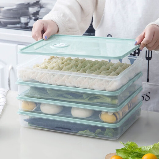 Dumpling storage box, refrigerator crisper, freezer tray for frozen dumplings, multi-layer quick-frozen fresh-keeping box, dumpling box, household dumpling freezing box, wonton box, quick-frozen food storage box, dumpling box, transparent model, 1 layer, 1 lid, can hold 60 dumplings