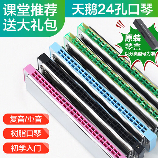 Jiaoyun Harmonische Anfänger Studenten 24 Loch Einführung polyphonischer Stress für Erwachsene C oral Organ Instrument Blau 24 Loch Stress +