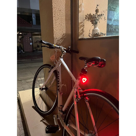 适用喜德盛gt350380/700/300/800黑客500RC200公路自行车夜骑尾灯 创意尾灯-圆形