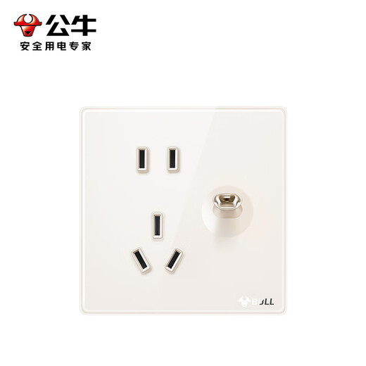 公牛（BULL）复古开关插座超薄亚克力拨杆一开单控五孔带开关G70E333A晨曦白