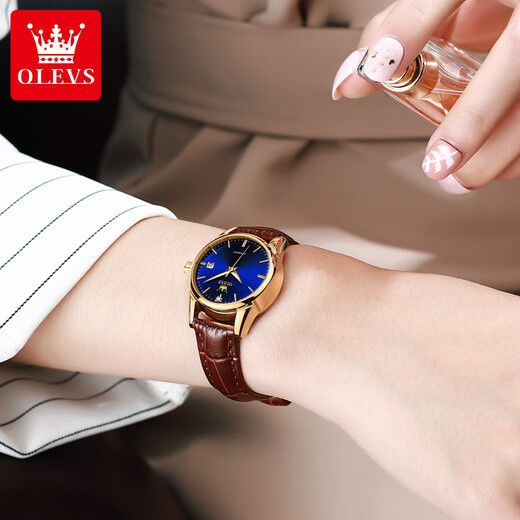 Oleeis Olevs Schweiz zertifiziert Top Ten berühmten Uhren für Männer vollautomatische mechanische Uhren leuchtende wasserdichte Herrenuhren für den Freund Brown Leder Blue Face - Upgrade Collector's Version 6629 Frauen [lebenslange Garantie]