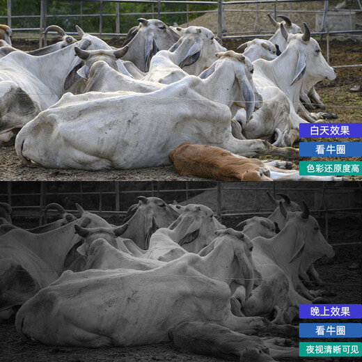 威视达康入户门家门口楼道不插电充电摄像头电池免电源监控器无线无需连wifi网络家用室外4g流量卡无网无电 【充电WiFi版】有网无电可用+云台旋转 128G内存卡