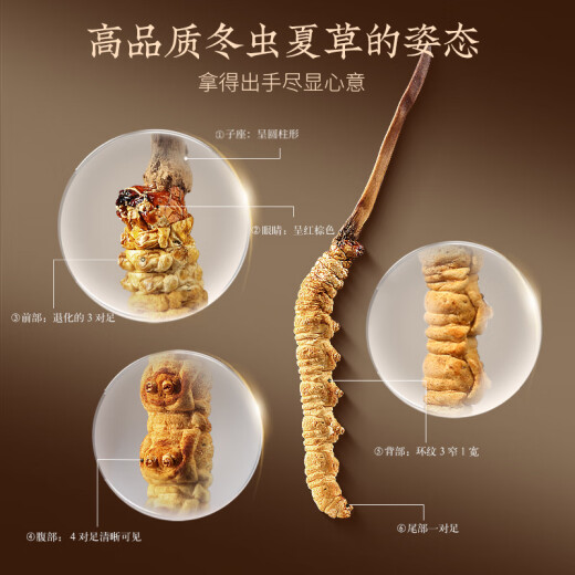 同仁堂品牌冬虫夏草5根/g3g15根虫草端午节礼盒滋补品送长辈北京同仁堂