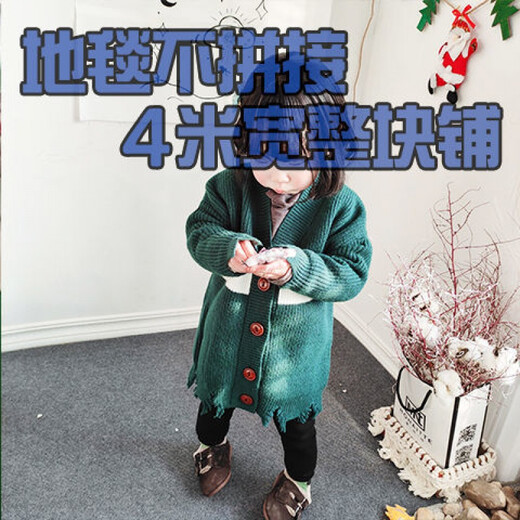 定制灰色4米宽满铺地毯办公室客厅耐脏卧室全铺ins拍照大面积地垫房间Q1SN4884 黑灰间隔绒 1.2米宽(需要几米长--数量填几
