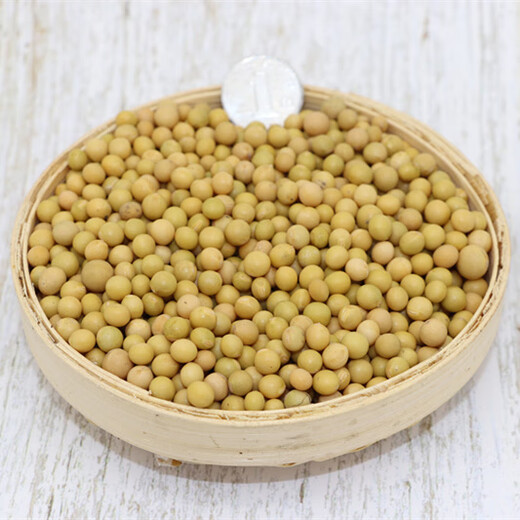 2024 Neues Getreide Nicht-GMO Extrem Small Grain 690 Sojabohnen Rohbean-Sprout Natto Special Small Golden Sojabohnenmilch 5 Jin [Jin gleich 0,5 kg]