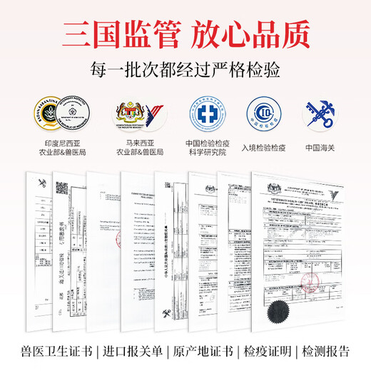 Shangqi Indonesien/Malaysian Bird's Nest Cups Trockene Tassen Große Tassen und dichte Tassen für schwangere Frauen Geschenke 7A Malaiisch ausgewählte Vogelbecher 50 g (7-9 Tassen) mit roter Geschenktüte