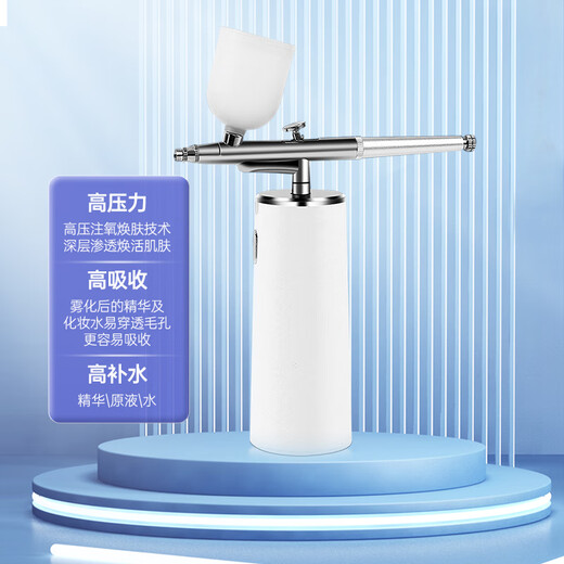 斐驰注氧仪家用便携式纳米喷雾补水仪精华液导入仪高压渗透夏季保湿护肤仪七夕情人节礼物女生生日礼物 白色