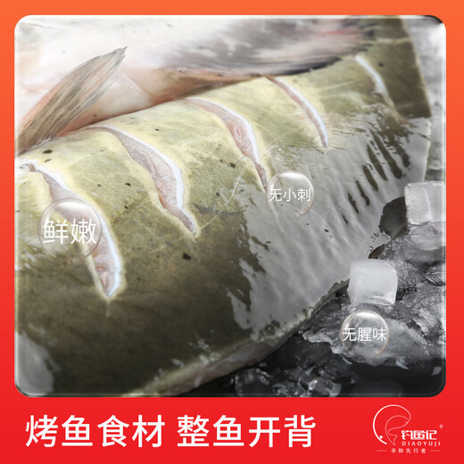Fishing Notes Channel Catfish 1 Jin Jin is equal to 0.5 kg -1.3 Jin Jin is equal to 0.5 kg, net weight is removed, frozen, grilled fish, red barbecue, fresh, New Year's gift