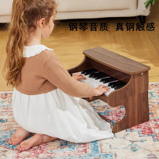 童雀六一儿童生日礼物 儿童木质小钢琴电子琴男女孩宝宝音乐早教玩具 25键棕色【木质电子钢琴】 送琴谱加琴贴