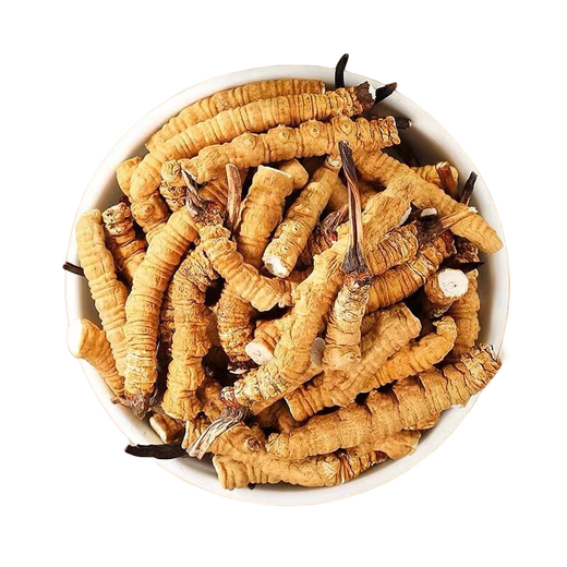 Authentische tibetische Gegend naqu großes gebrochenes Gras frisch cordyceps sinensis gebrochenes gras cordycep