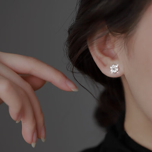 Warme Farben Commuting Intellectual Snowflake Silver Needle Earrings Feminine Student Simple Sleeping No-Pick Earrings Valentine's Day Gift Snowflake Earrings