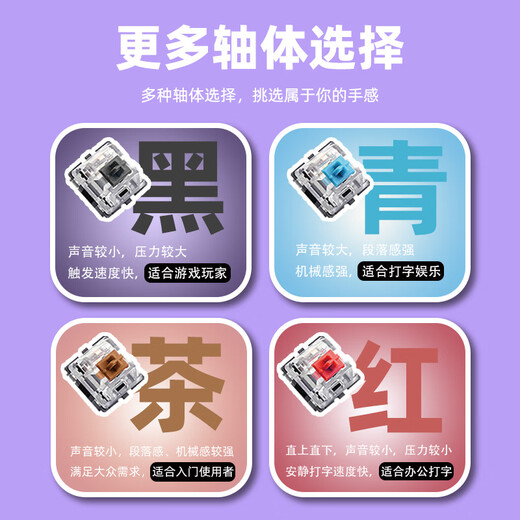 达尔优达尔优EK829《暗夜流光》主题机械键盘104有线键盘PBT布丁热升华办公家用电竞游戏通用男女礼物 暗夜流光-104键黑色 黑轴
