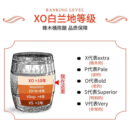 派斯顿法国进口洋酒白兰地XO40°烈酒礼盒金葫芦原酒进口 整箱装 700mL 6瓶