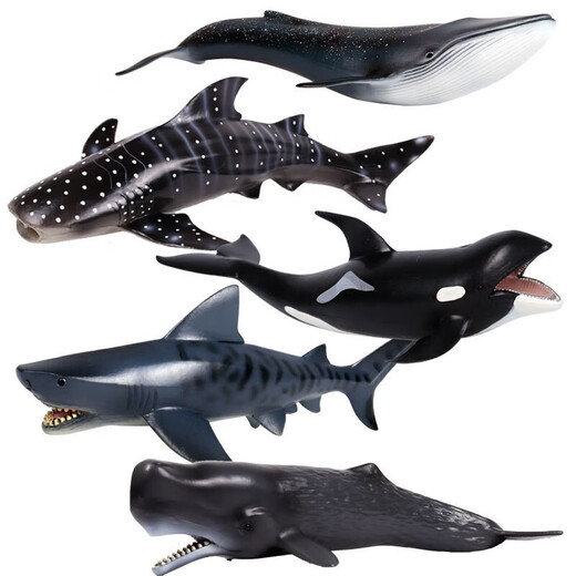 Simulación sólida de Oenux Gran tiburón blanco Tiburón marino Modelo de vida marina Megalodon tiburón tiburón tigre tiburón azul ballena adornos de juguete para niños m-693 cebra tiburón