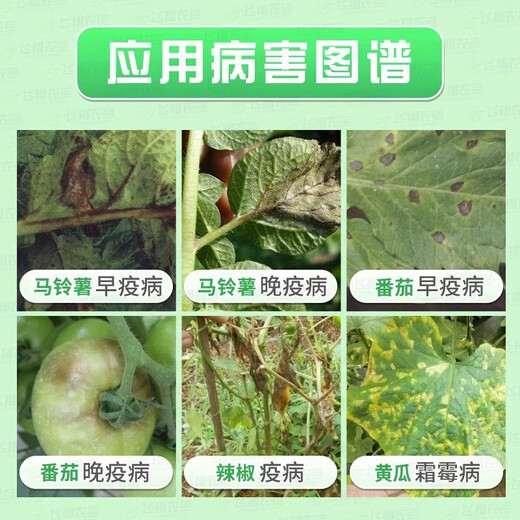 Yikuaijing oxazofen, cymoxanil, grape and cucumber late blight, downy mildew pesticide, fungicide, Corteva DuPont 9g (authentic guarantee)