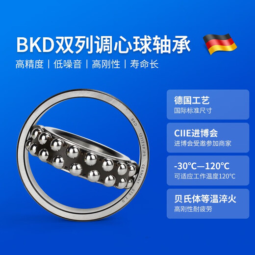 德国BKD进口轴承1200/1201/1202/1203/1204/1205/1206/1207/1 1204TVP.P5
