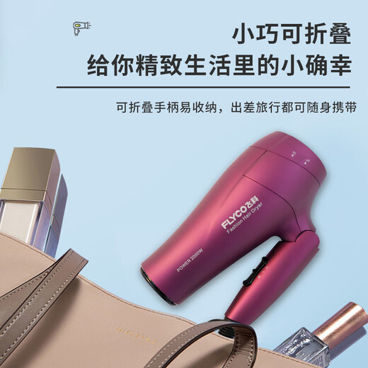 飞科电吹风机家用大功率负离子护发折叠大风速干静音吹风筒 FH6296 1800W