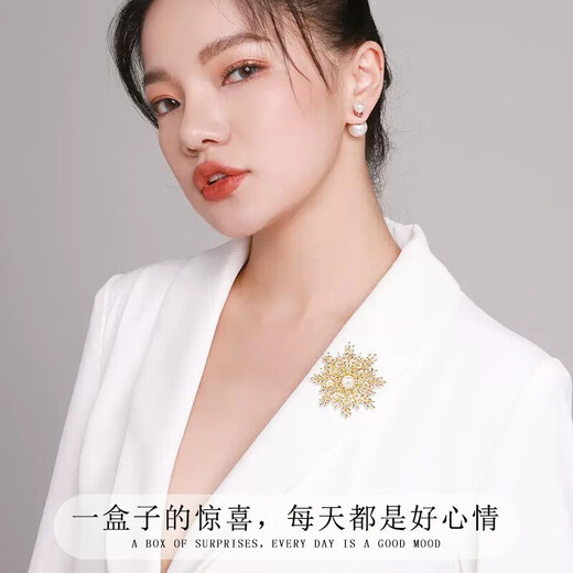 Crystal brooch for women, practical high-end swan corsage set pin, light luxury suit coat, suit badge, anti-exposure buckle, five-piece butterfly brooch set-TS233