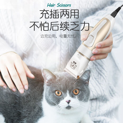 Ant Dog Shaver, Pet Electric Clipper, Cat Teddy Dog Hair Clipper, Foot Hair Clipper, Complete Supplies (Silent and No Hair Stuck), Pearl White (Preferred Set)