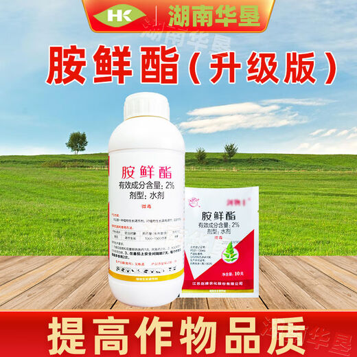 Acetate plant growth regulator pesticide prevents premature aging and enlarges fruit rhizomes flowers and fruit trees stress resistance 500 grams of acetate (upgraded version) * 1 bottle
