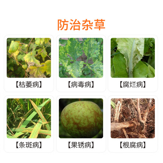 Guoguang Xiugong 1.2% cinnamon acetate peach tree cinnamon gum disease black leg rot pesticide fungicide