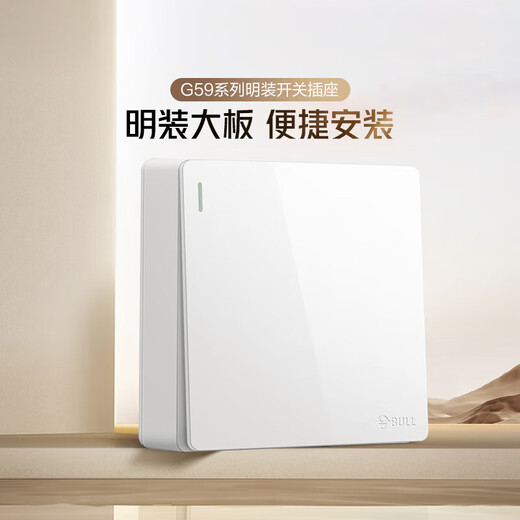 BULL oberflächenmontierte große Panel-Schaltsteckdose G59-Serie, Ein-Ein-Einzelsteuerschalter G59K111