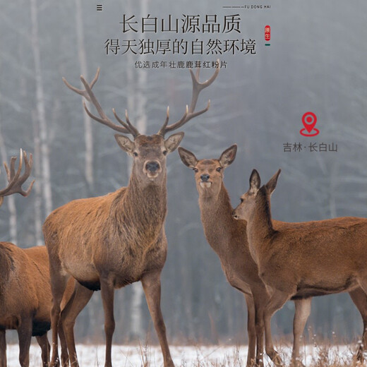 Futonghai Deer Antoles Tablets Jilin Changbai Mountain Deer Avoles Powder Ploss Small Package 20 G/Bottle Fubm