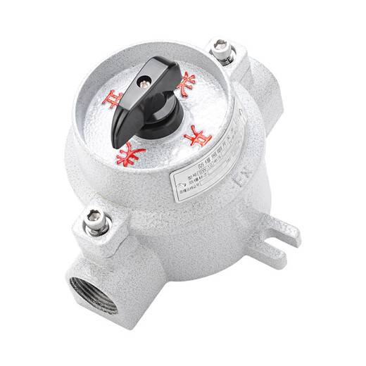 CHAXFB explosion-proof lighting switch SW-10 220V explosion-proof switch ExdeIICT6Gb regular style regular style 10A 220V
