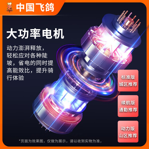 Flying Pigeon Electric Tricycle Small Electric Vehicle Adult Elderly Home Scooter Electric Tricycle Ladies Pick Up Children 1000W Climbing Model 23A Long Distance Runner + Battery Life 140 Miles