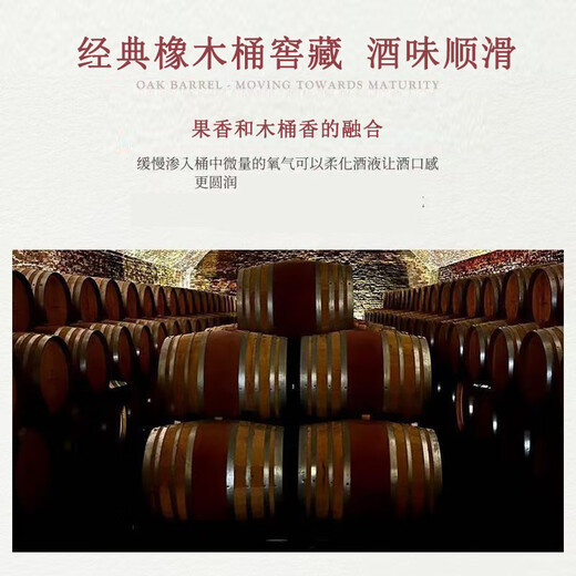 拉法帝尼法国xo白兰地洋酒经典进口原酒男人烈酒口粮酒吧调酒类40度500ml 500mL 2瓶