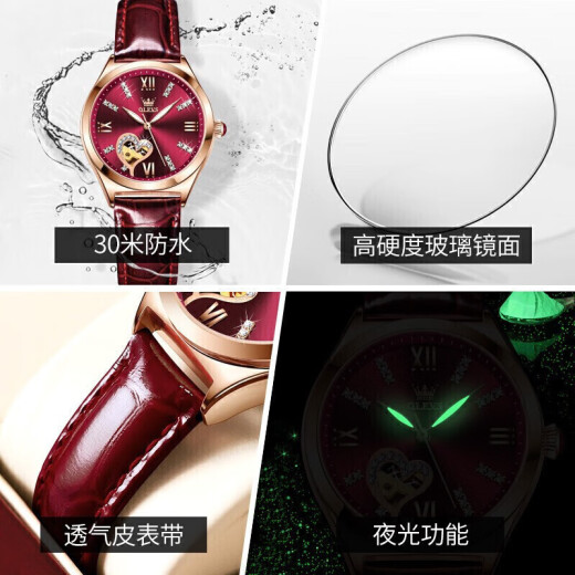 欧利时（OLEVS）瑞士认证品牌情侣手表一对机械表男女表全自动夜光防水潮流情侣表 3601+6636情侣-黑红色一对