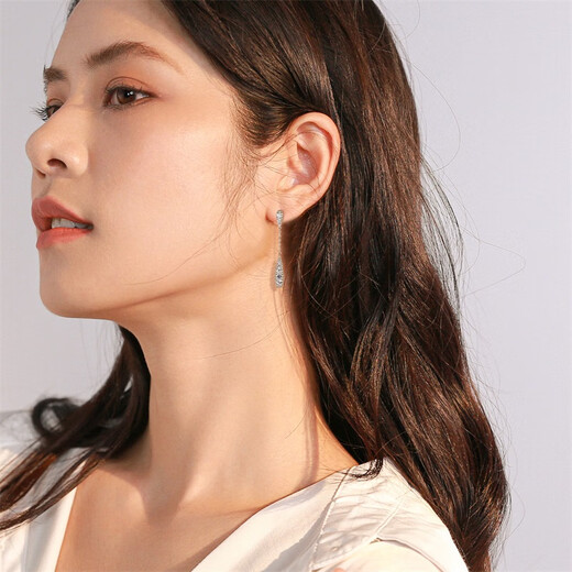 Qlady tassel drop earrings for women, light luxury, high-end earrings for women, 2025 new niche design silver needle earrings for women