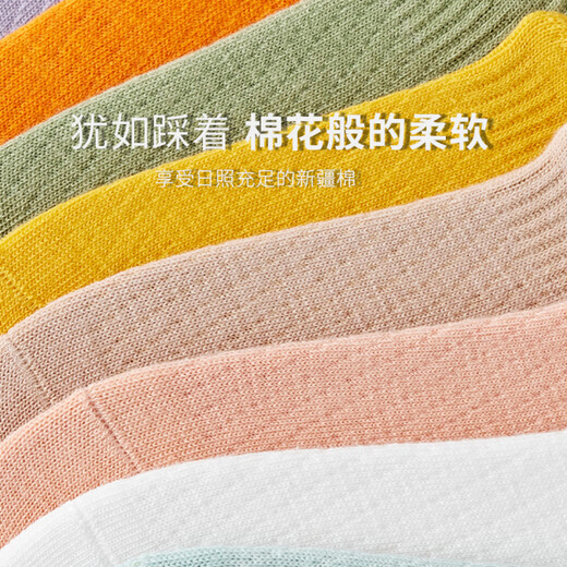 真维斯【五对装】女装 夏季新款 女士糖果色抗菌隐形袜YM 白色+卡其+黄色+深绿+紫色6172 F