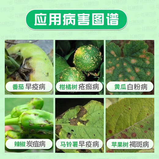 Bayer Nadifen trifloxystrobin tebuconazole fruit tree vegetable downy mildew powdery mildew leaf spot wheat scab fungicide 100g