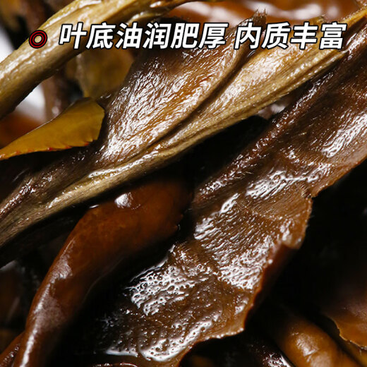 Xinyi Hao White Tea Raw Tea Cake 2023 Spring Tea New Tea Yunnan White Tea Treasure Series Moonlight White Yunnan Qizi Cake Raw Tea 357g*1 piece