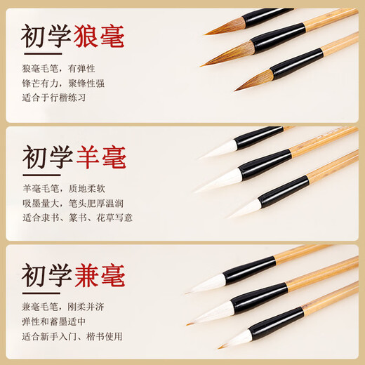 Recording of learning, medium-sized brush calligraphy special and calligraphy practice pen set for beginners, four treasures of the study, large and small regular script, medium and regular script, seal script, Chinese painting, primary school students, children and adults